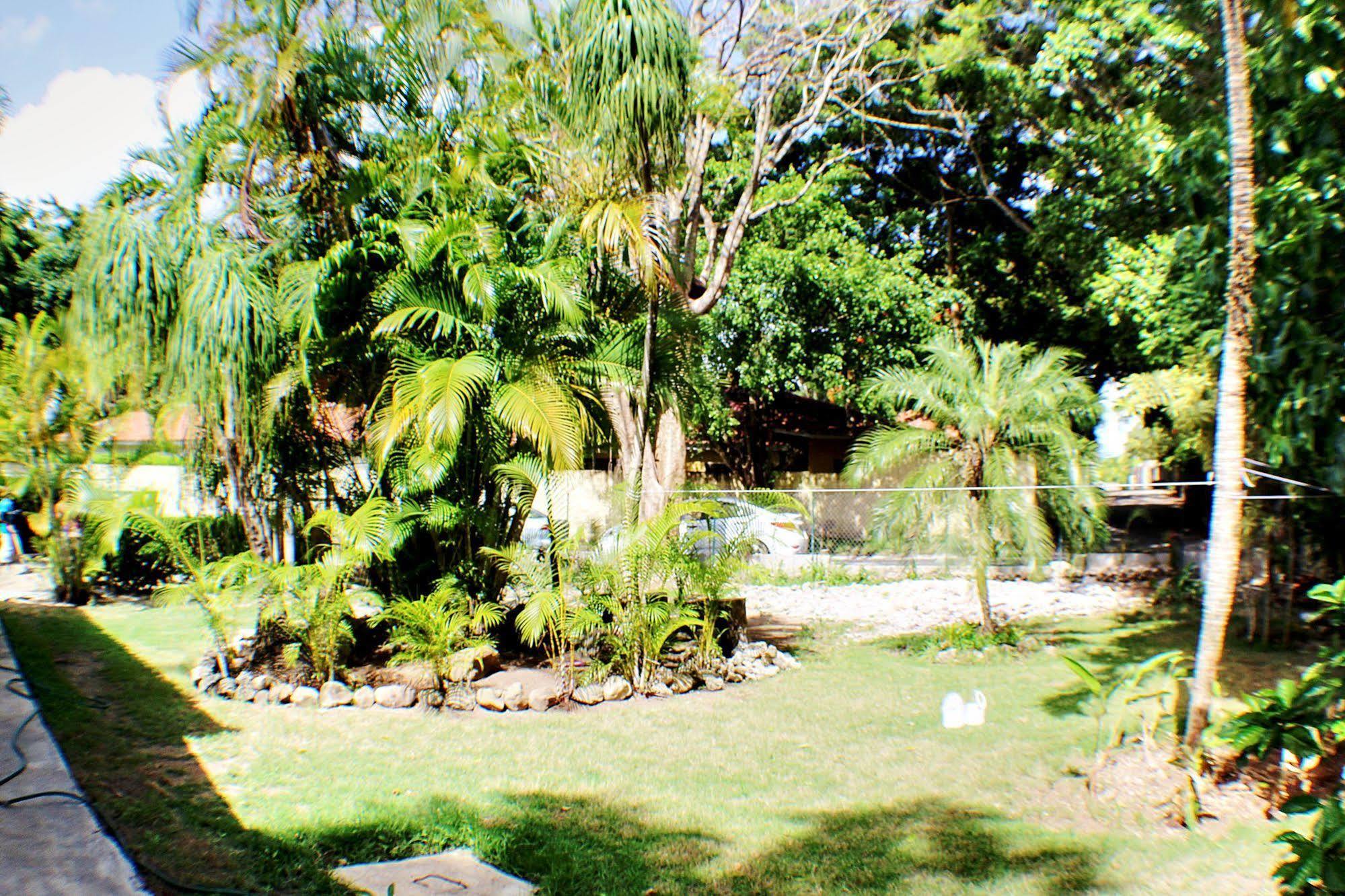 B&B Pavillion Sosúa Dış mekan fotoğraf